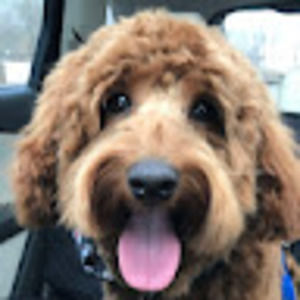 Meet your Posher, Jackie